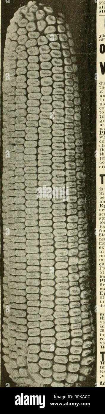 . American bee journal. Cultura de abejas; las abejas. 174 AMERICAN BEE JOURNAL El 14 de marzo, 19i 1. $1,000.00 en efectivo agrícola ridiltiiral Eililed Epitomist papel B haciendo el mayor rendimiento de un kilo de "Premio" EPITOMIST White Dent maíz. $-J5II.OO fur largpst f irid $50.00 por 4th'largesl $10.00 para el rendimiento 7lhlarees( jleld Sloll.OU •• '.'d " S2.i.00 " 5LH " .'malos prlie>. OO So.piir-li S2.iO haciendo un total de $1,000.00 Tlio-i' I tinlliiir riiiiipli'. iviien cifvcini innilllit: i.|>ui'l: iilno r.">..i't iiiiiiU' "'''''^..?S"F''EPITOMIST PREMIO" White Dent Co Foto de stock