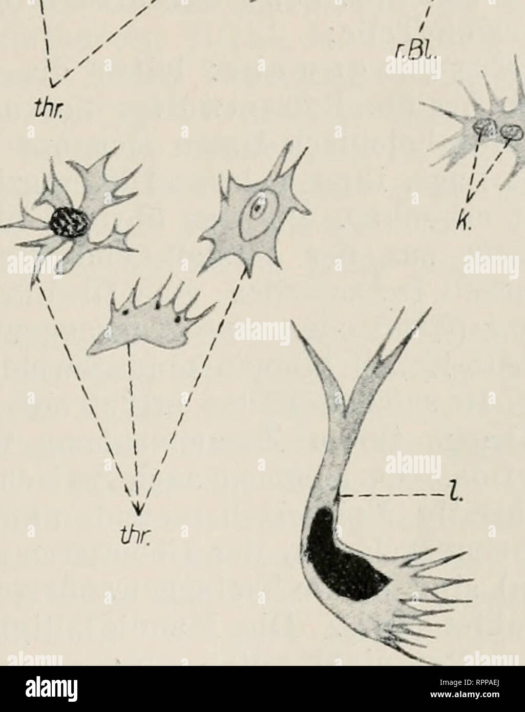 Get Viele kleine leute 1 vielen kleinen orten mentit Free HD Viele Kleine Leute 1 Vielen Kleinen Orten Mentit
