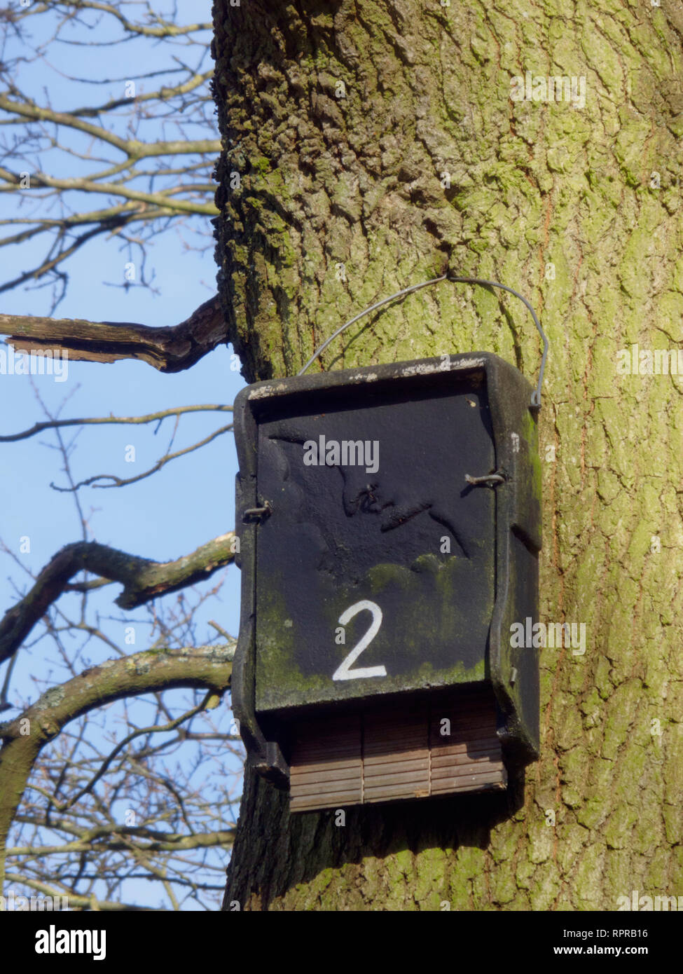 Bat Box montado sobre un tronco de árbol de una forma de vida silvestre o la conservación de la Naturaleza, el REINO UNIDO Foto de stock