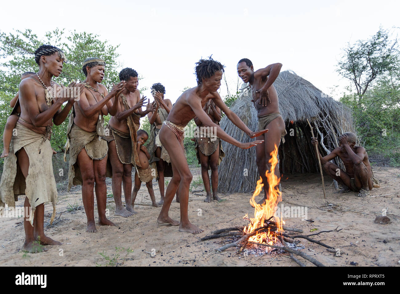 los-bosquimanos-san-gente-cantando-y-bailando-danzas-tradicionales-alrededor-del-fuego-delante-de-la-cabana-el-desierto-de-kalahari-namibia-africa-rprxt5.jpg