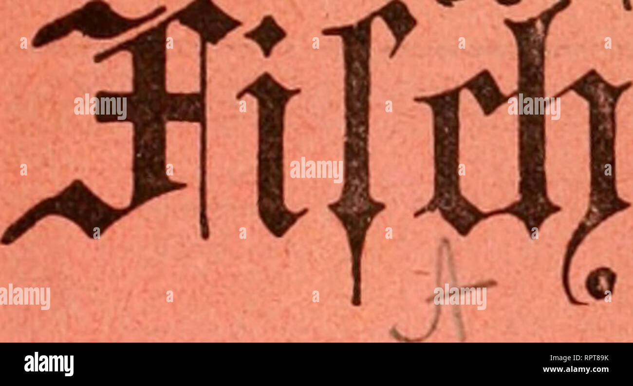 Icco Fotos E Imagenes De Stock Alamy