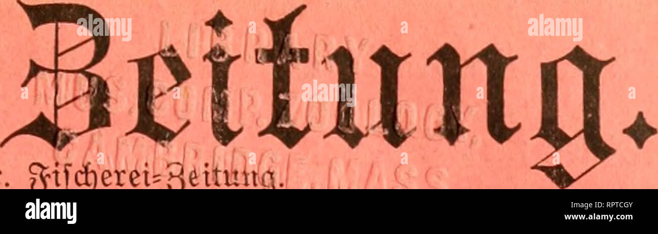 . Allgemeine Fischerei-Zeitung. ? :Fw". .En u. ungemeine ^Ifll. """"TPU. JftMwret- '•-^pite ftofae su 93cme' *~ifteue ^olge ber 93aner. $tfcr)erei=3ettmta.. 3erneuchen Tischzucht %-% gibt ab 9iegett0ogenfovt*Ücit, .sitgot, ©olborfen, groreftenbarfe, 6d)TT>ar3fcarfe, Steht* t"ar?efÄa(tfo6avfe,^tuero"ue(je,3di(etett, Karpfen unb etnjömmerige Raubet-. ©arantie lebenber Stnfunft. 9lquarienfifd)e laut "ßtciSlifte. ^reiSltfte franto! Von dem Borne. Der Jungfische Bachforelle, des Bachsaiblinga Lieferzeit und der Regenbogenforelle, Juni, gibt die Fischzucht Zellin ab. •:!. Oder (Estación Bärwald Foto de stock
