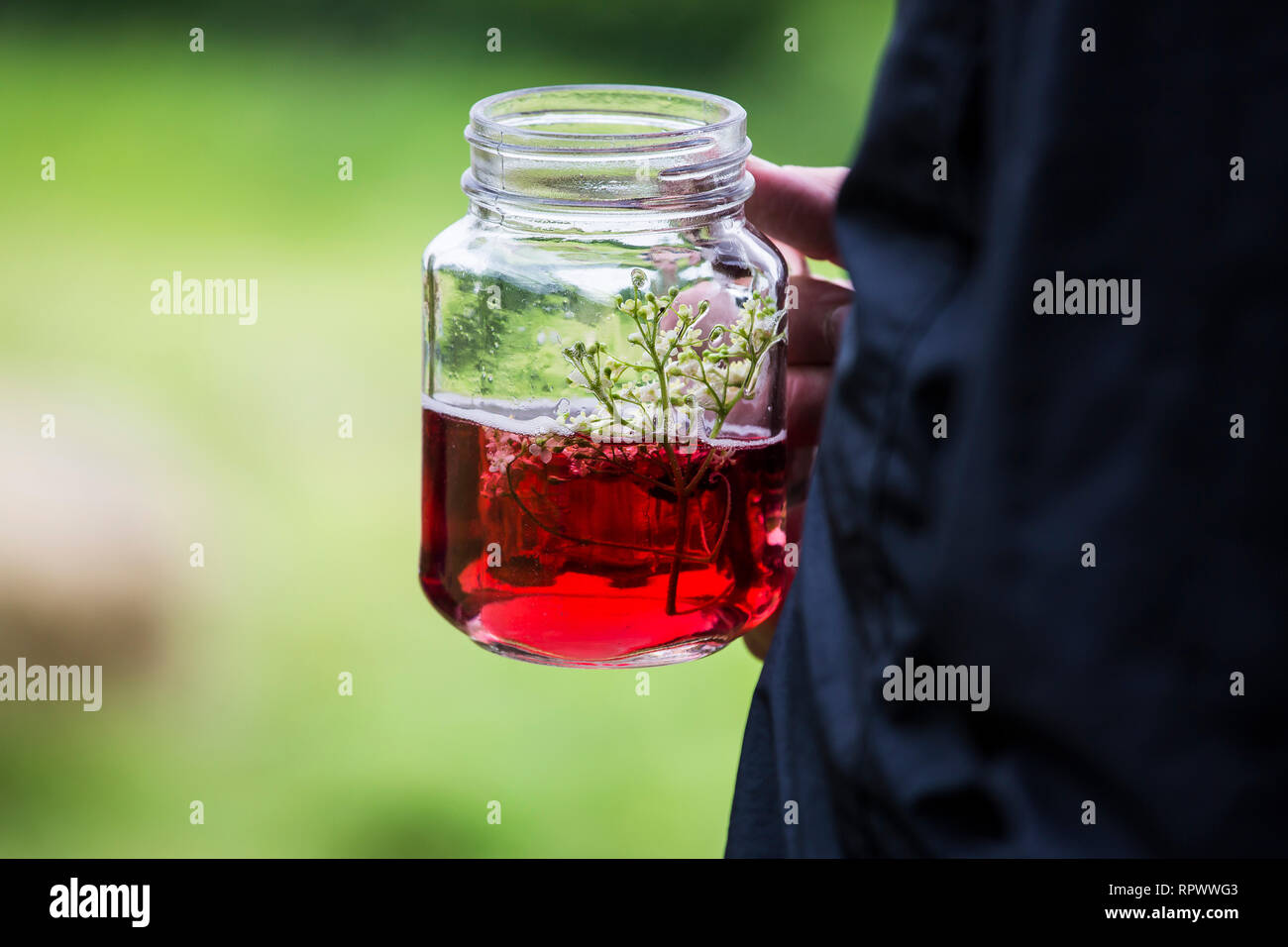 Rústico país caseros bebida de elderflower cordial servida en tarro de mermelada, Kent, UK Foto de stock