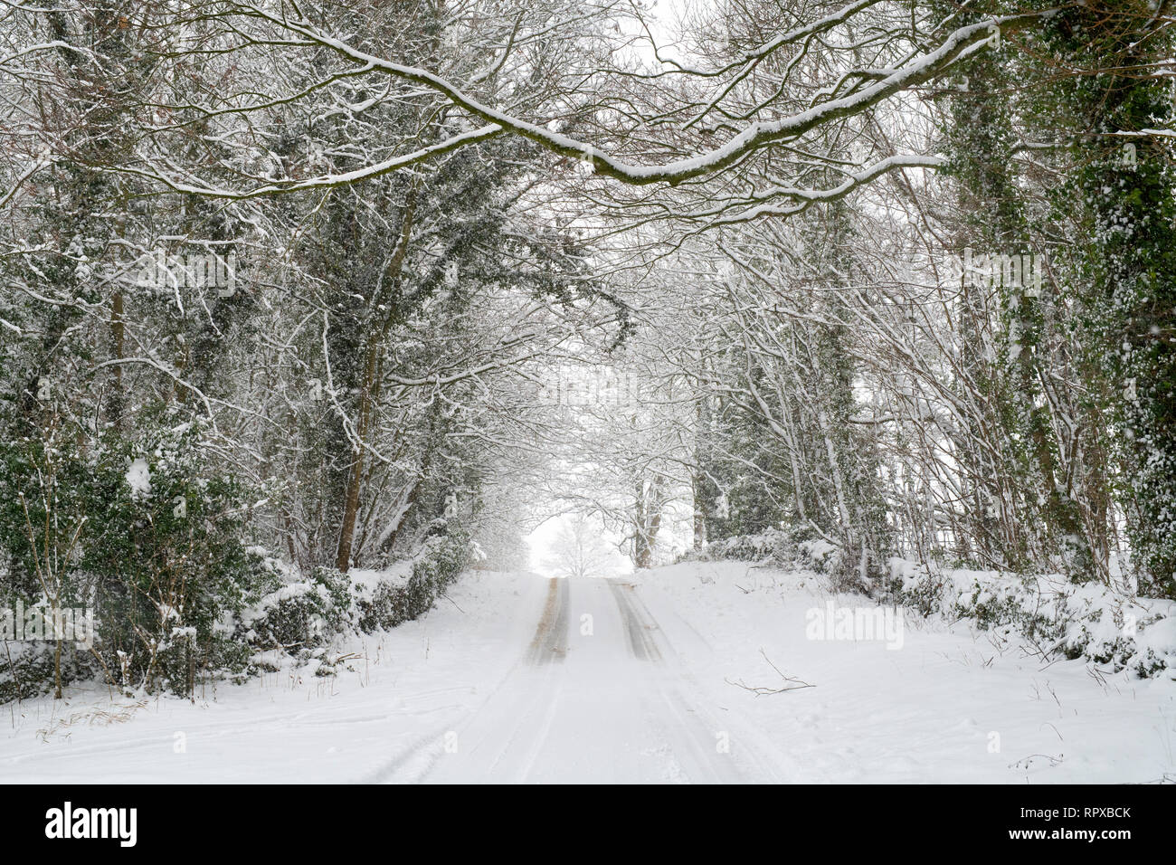 Carretera de campo cubierta de nieve cerca de Eastleach en enero. Eastleach, Cotswolds, Gloucestershire, Inglaterra Foto de stock