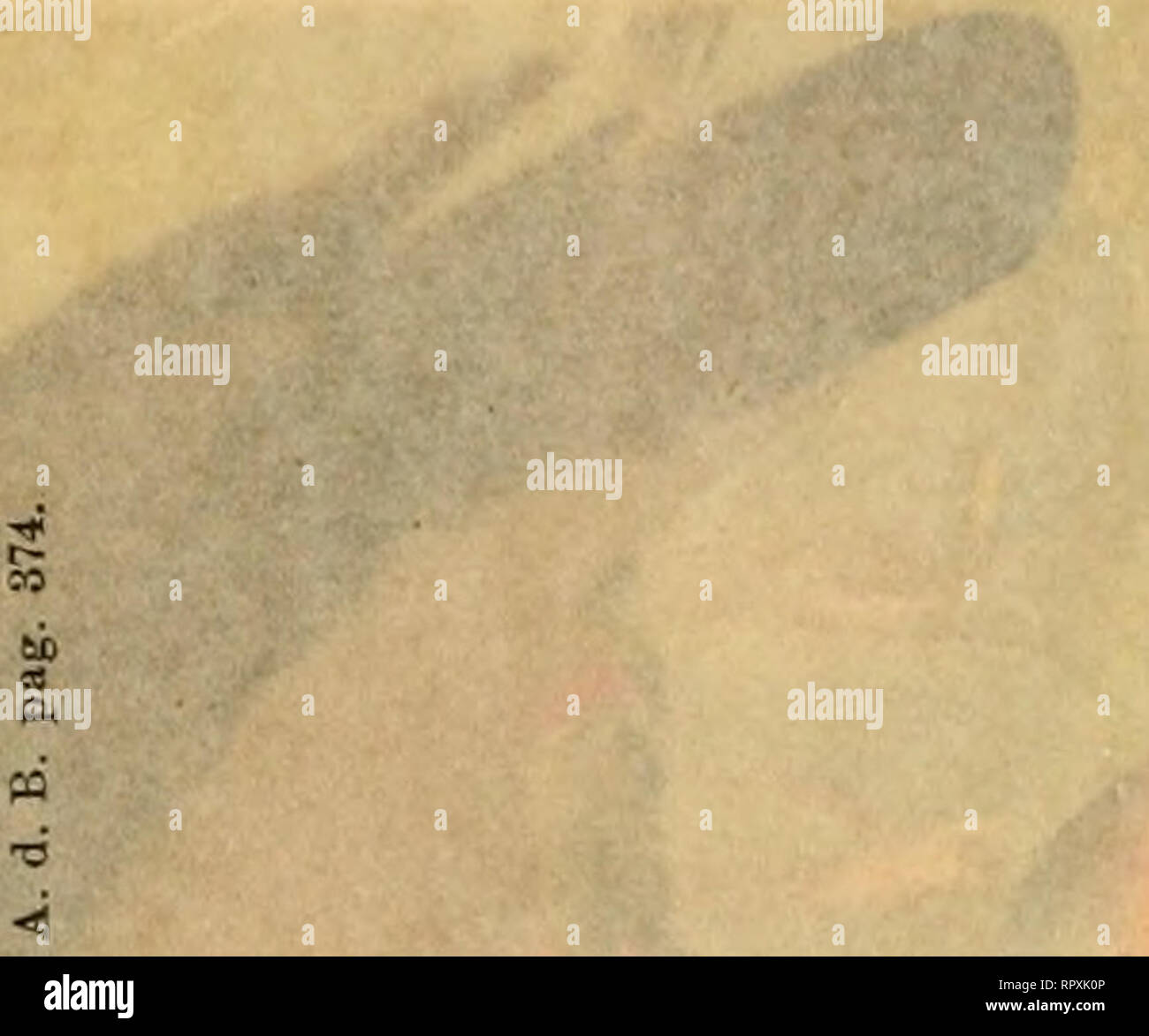 N S D A P Fotos E Imagenes De Stock Pagina 117 Alamy