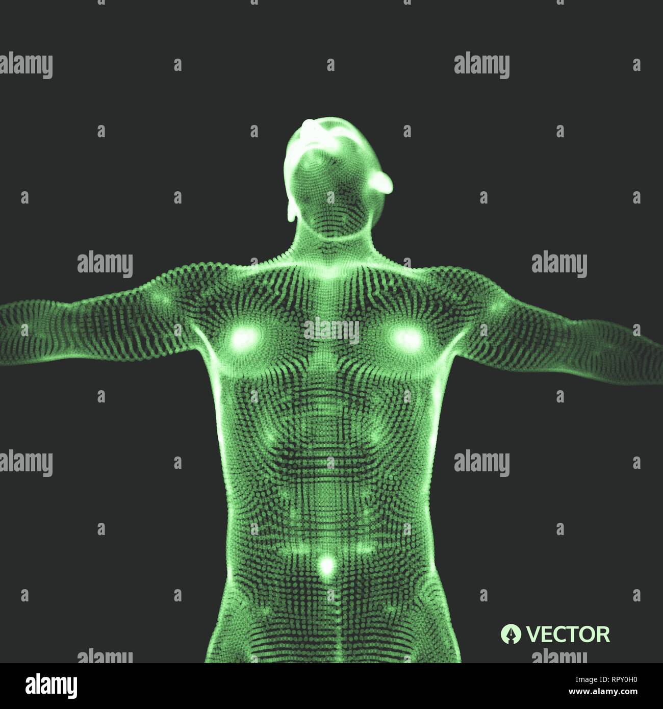 Modelo 3D del hombre. El cuerpo humano. Elemento de diseño. Ilustración  vectorial Imagen Vector de stock - Alamy