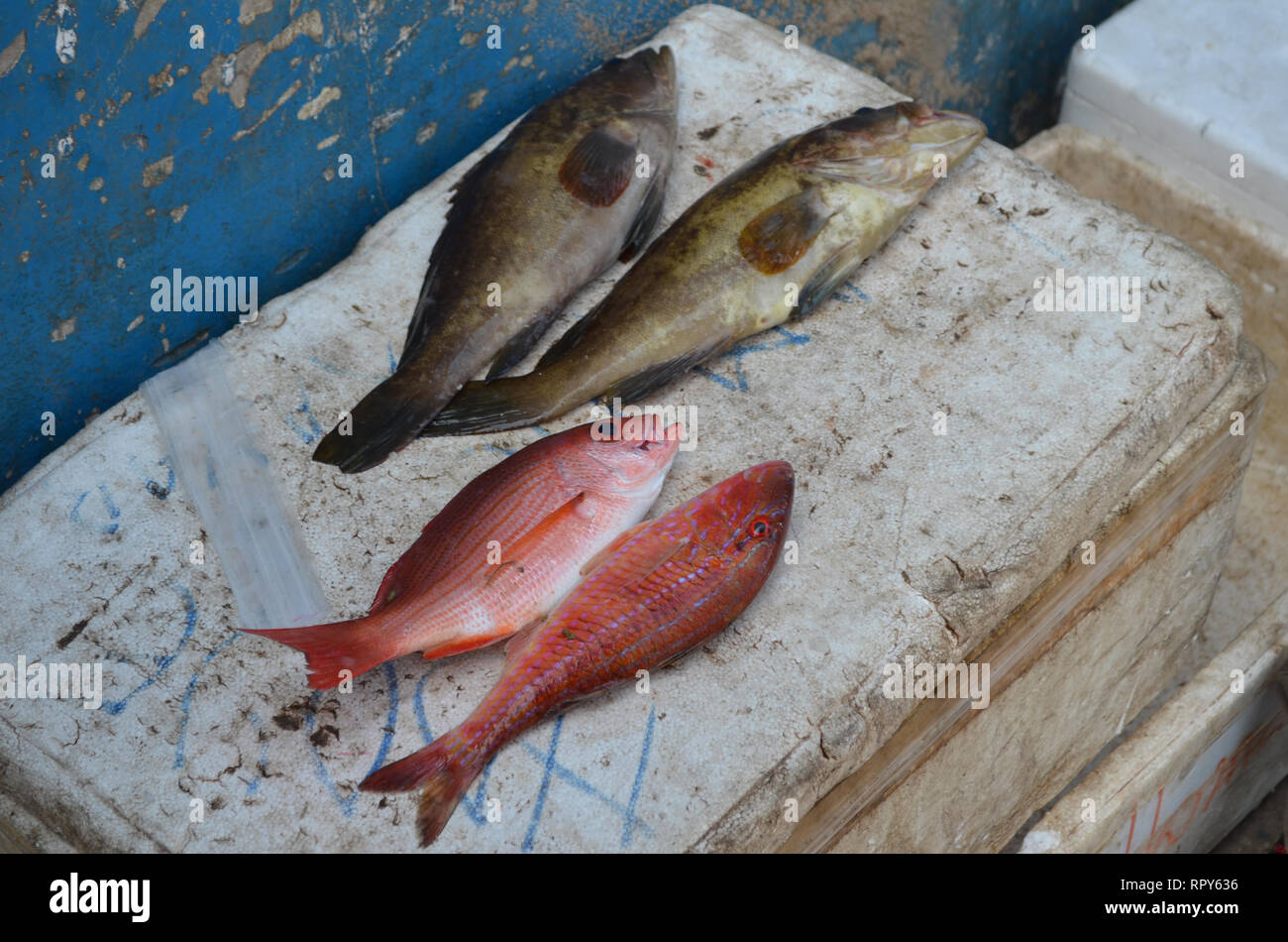 Concurrido mercado de pescado en Mbour, Senegal, un hub regional de comercio Foto de stock