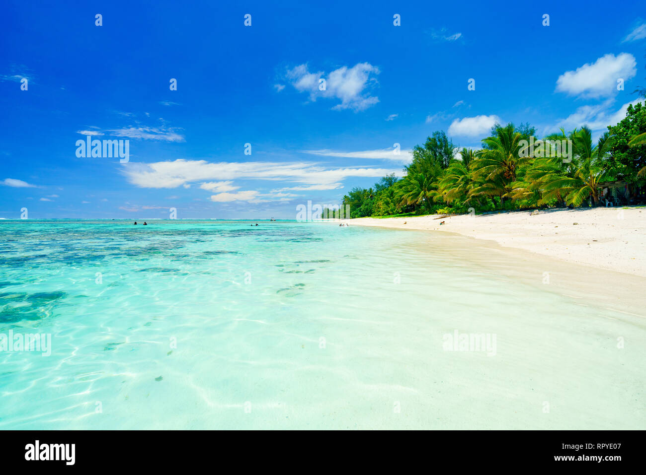 Una playa idílica con palmeras en Rarotonga, en las Islas Cook Foto de stock