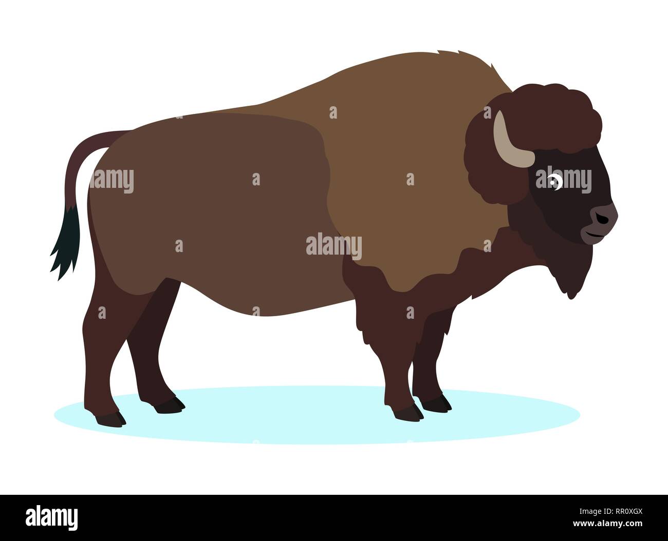 Wild brown icono bisontes, búfalos, aislado sobre fondo blanco. Ilustración del Vector