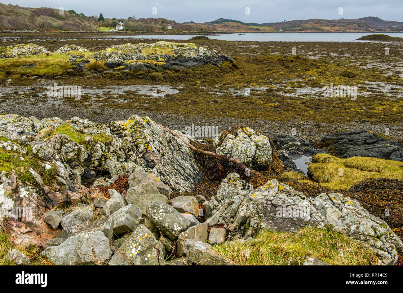 Arisaig Beach, en la costa cerca de Invernesshire Mallaig Escocia - principalmente una orilla rocosa con parches arenosos y algas. Foto de stock