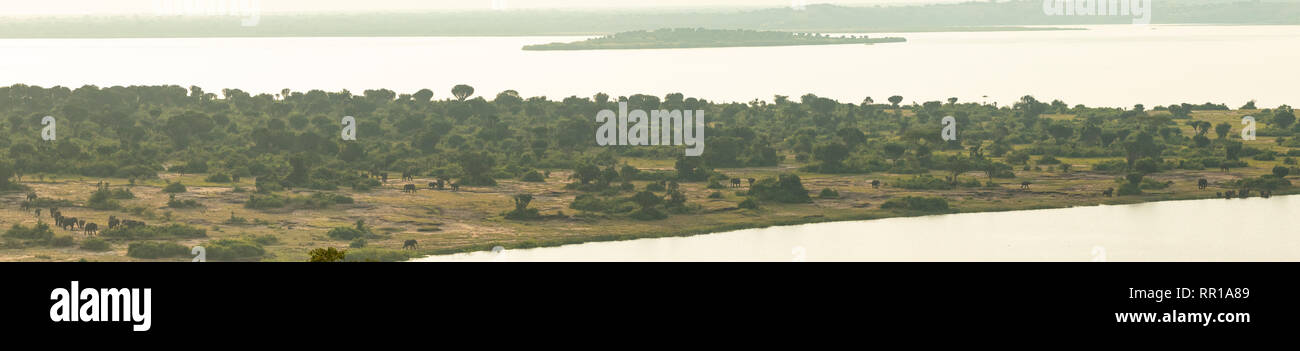 Un panorama con vistas al Canal Kazinga en el Parque Nacional Queen Elizabeth, Uganda. Hay muchos elefantes en la tierra de arbustos de la península Foto de stock