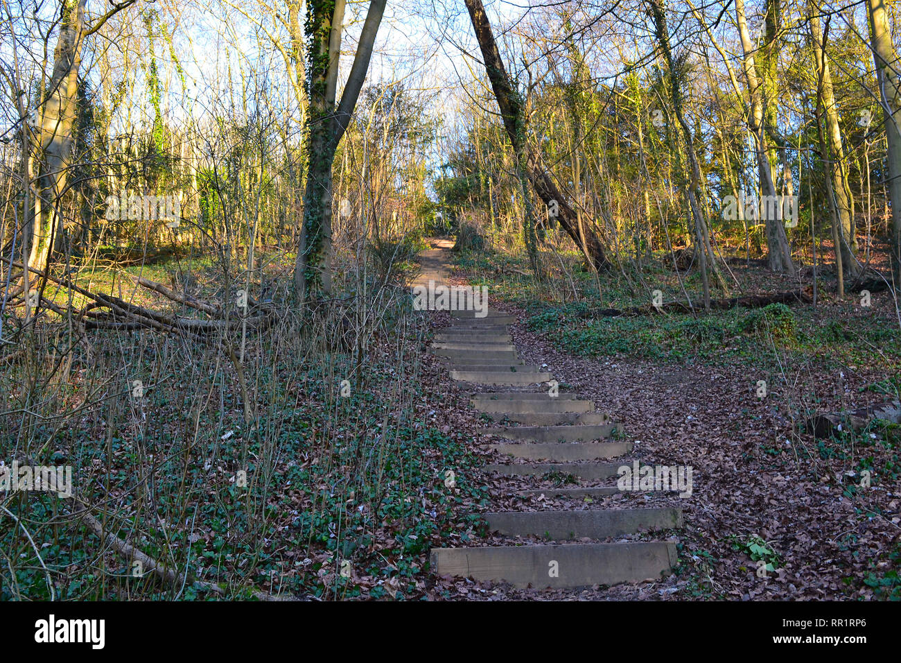 Los pasos hasta el lado del valle, Darent Shoreham, Kent en North Downs en Dunstall Woods. El camino conduce a Romney Street, y Eynsford Otford Foto de stock