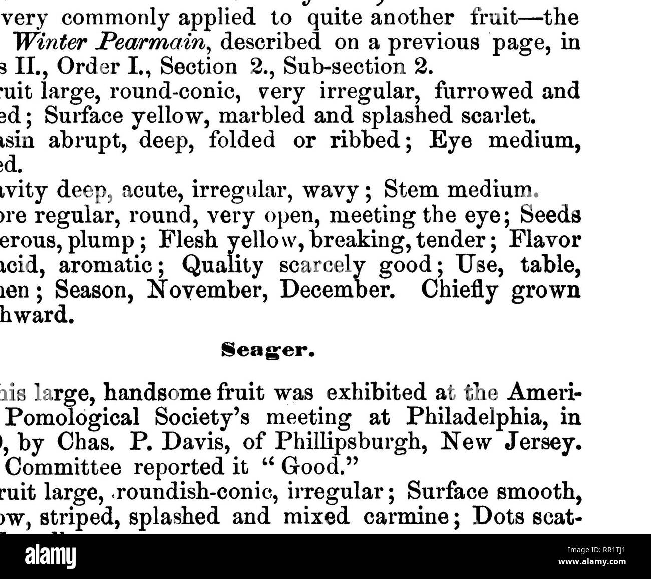 . American pomology : manzanas. Las manzanas. 544 descripciones de las manzanas. De Condado de Erie, IsTew York, este fruto ha hecho su w#iy hacia el oeste, a la región de los Lagos, habiendo sido distribuida por el Coronel Hodge, de Buffalo, y ha señalado a la atención de sus amigos occidentales por el Honorable M. L. Dunlap, ot Champaign, Illinois, quien estima que yery altamente. Cito de su ac- cuenta de ella; " Esto demuestra una de nuestras manzanas de invierno más rentables ; el árbol lleva jóvenes y constantemente, pero fuller en alter-. Fig. 175.-STANABD. nate años; fruto de grandes y vistosas, brotes grandes y downy; yemas prominentes, fruto cogollos grandes y el ea Foto de stock