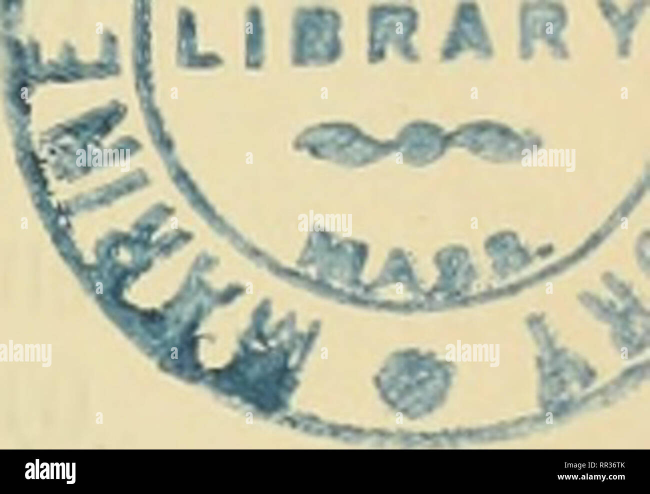 Acta Societatis Scientiarum Fennicae La Ciencia En Symmetrisk Losning Af Likheu R Af 2 Dra 3 Dje Och 4 De Graden Kmedan Xt P Och X P Aro Tva Tal Hvilkas Summa O Satta Vi