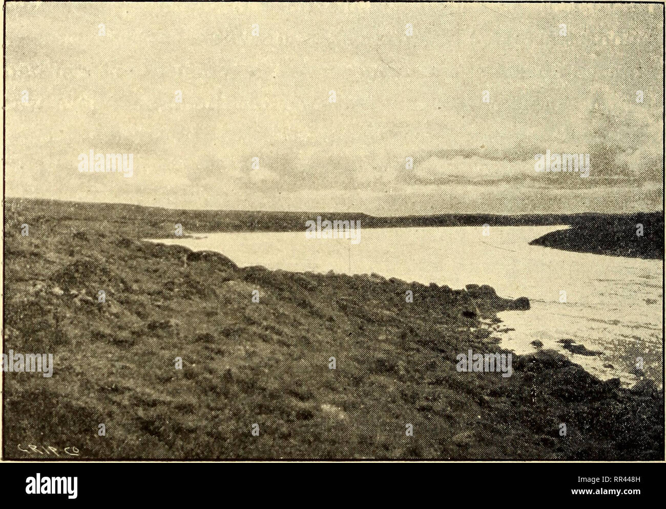 . A través de los sub-Artics de Canadá, un viaje de 3.200 millas por canoa y zapata de nieve a través de las tierras áridas, incluida una lista de plantas recogidas en la expedición, un vocabulario de palabras Esquimal, un mapa de ruta y full clasificados index. La botánica; lenguas esquimal. 82 A TRAVÉS DE LOS SUB-ARCTICS bahías de Canadá, la entrada al amplio río Telzoa (superficial) fue descubierto. Sin duda fue una gran, amplia y el río rápido, dividido en muchos canales superficiales, cuyas aguas parecen haber sido, por así decirlo, derramado por el borde del lago en los últimos lugares. Este fue el río habíamos definido por explorar, una Foto de stock