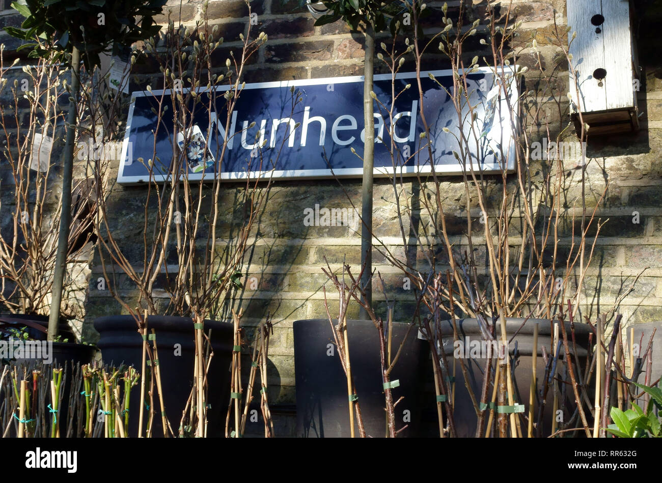 El centro de jardinería jardinero Nunhead, Nunhead, South East London Foto de stock