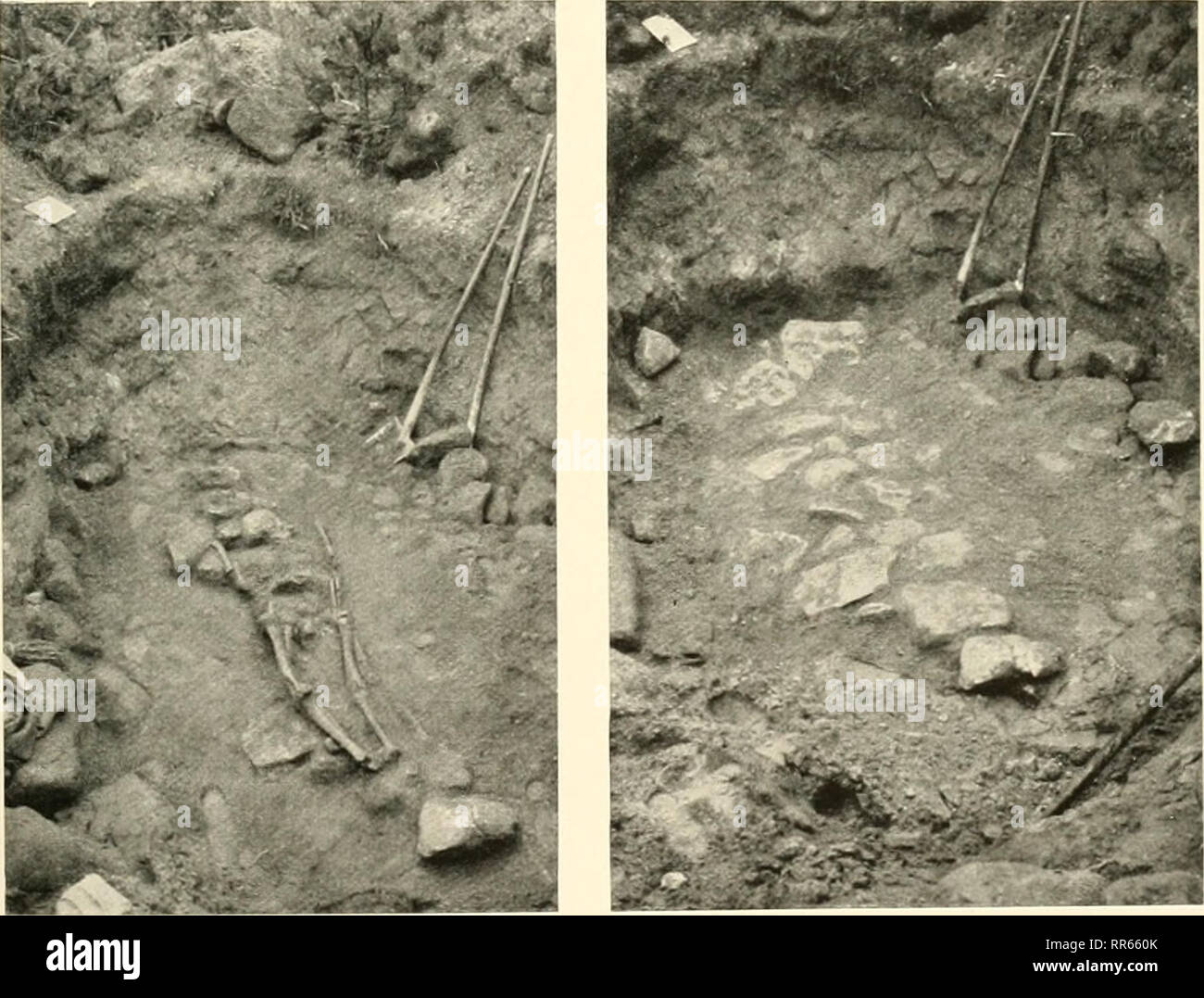 Download Wegnimmt For Android Wegnimmt