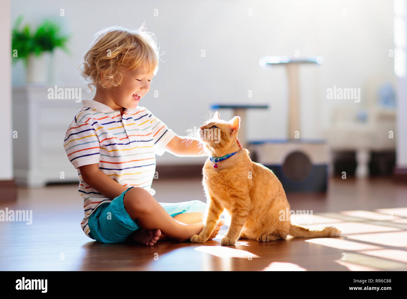 Niño jugando con el gato en la casa. Los niños y las mascotas. Niñito  alimentar y acariciar a color jengibre lindo gato. Gatos y scratcher árbol  en el salón interior Fotografía de