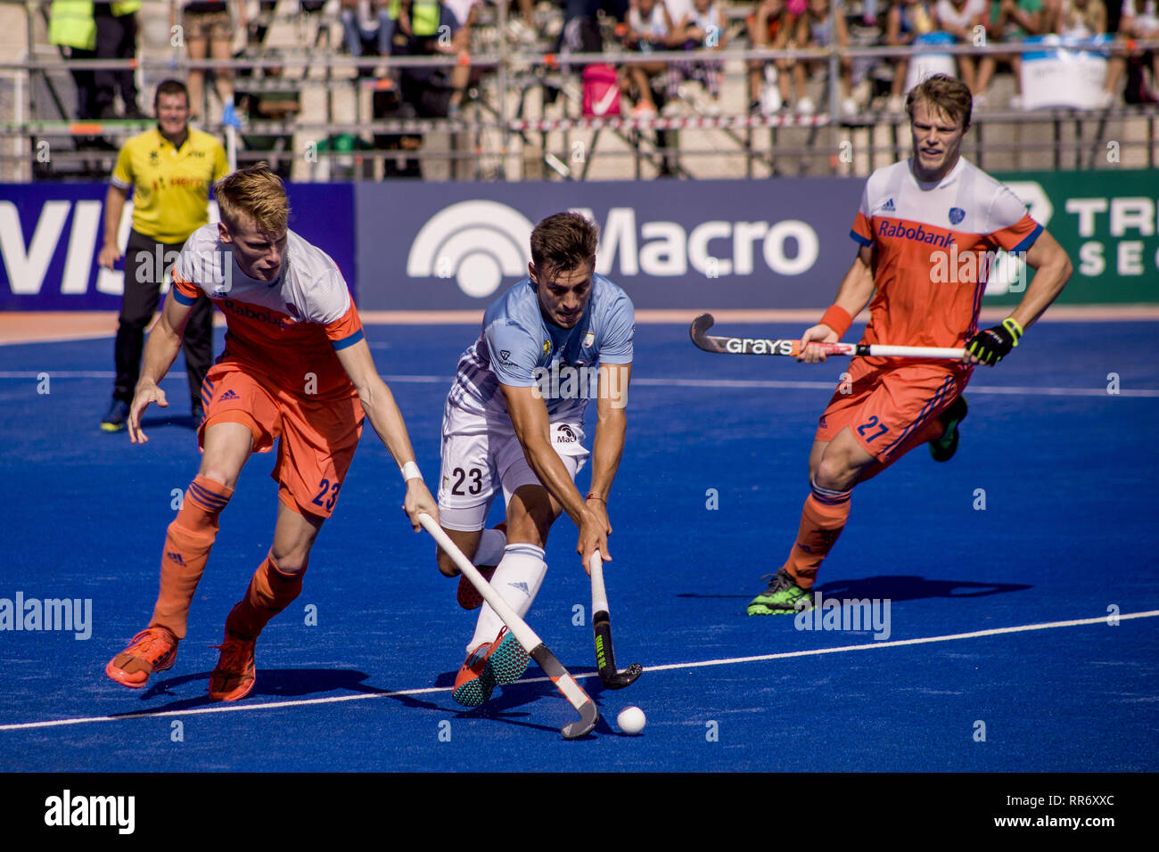 Buenos Aires, Capital Federal, Argentina. 24 Feb, 2019. El equipo de hockey de hombres argentinos, también conocida como Los Leones, derrotó al equipo nacional holandés, actual subcampeón mundial, el domingo 24 de febrero, con un marcador de 4 goles a 3. Los campeones olímpicos ganó su primera victoria en la nueva competencia . promovida por la Federacion Internacional de Hockey tras su derrota contra el equipo nacional de Bélgica, actual campeón del mundo y número uno en el ranking, y después fue suspendido el sábado pasado, el partido contra el equipo de Alemania, producto de una fuerte tormenta. (Crédito de la Imagen: © Roberto Alme Foto de stock