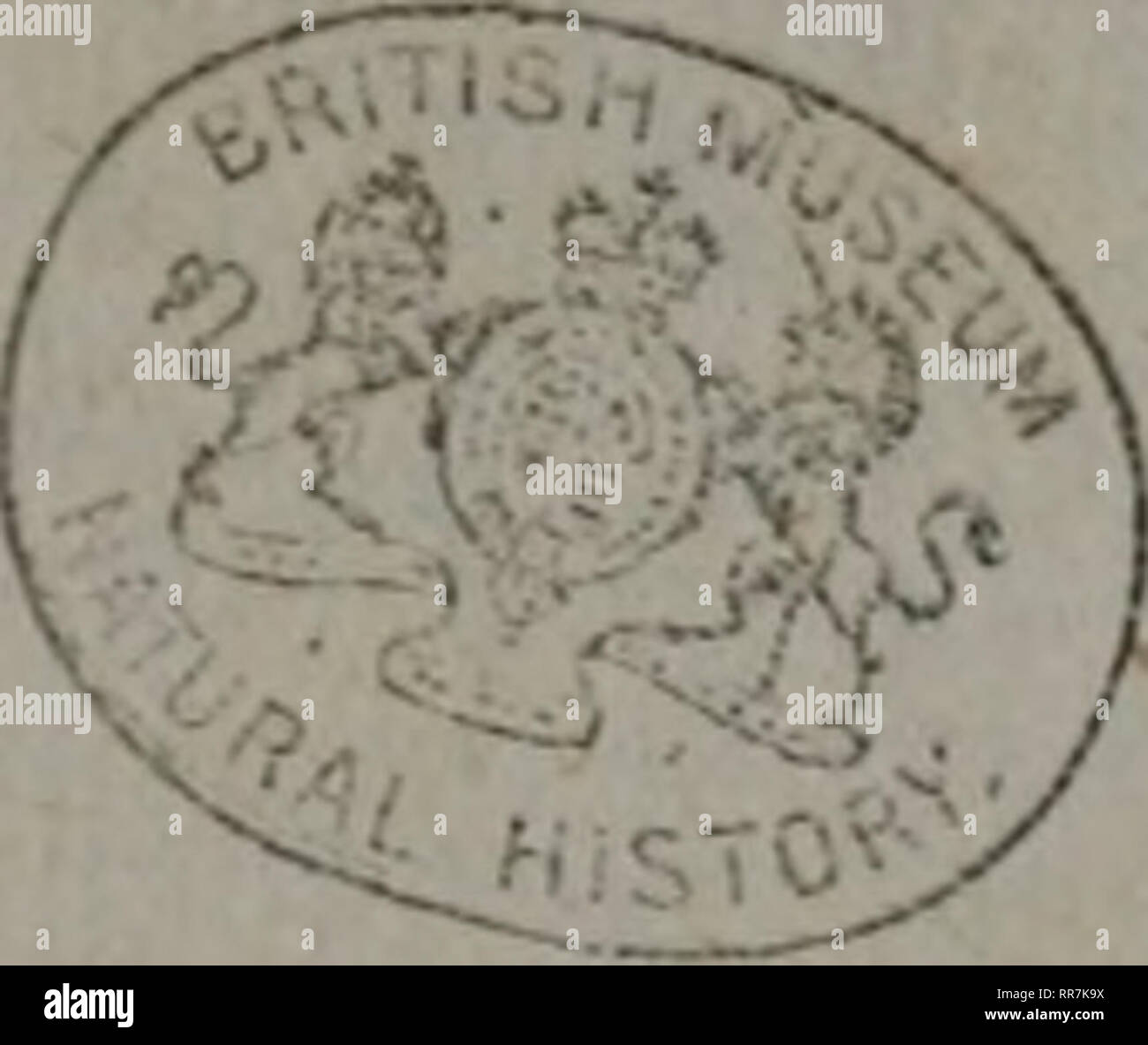 Mko 97 Fotos E Imagenes De Stock Alamy