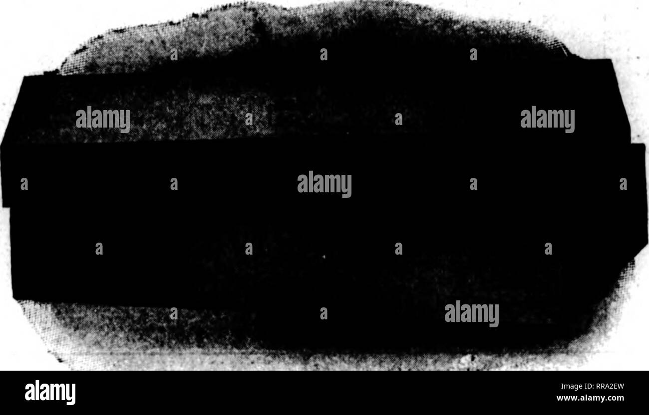 alamy