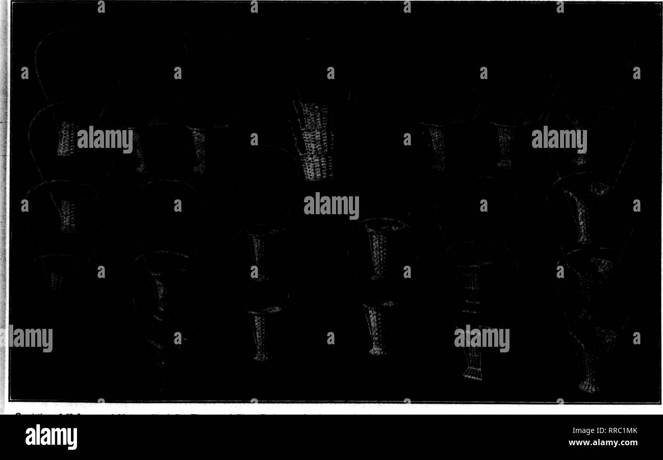 103 4 Imagenes De Stock En Blanco Y Negro Pagina 3 Alamy