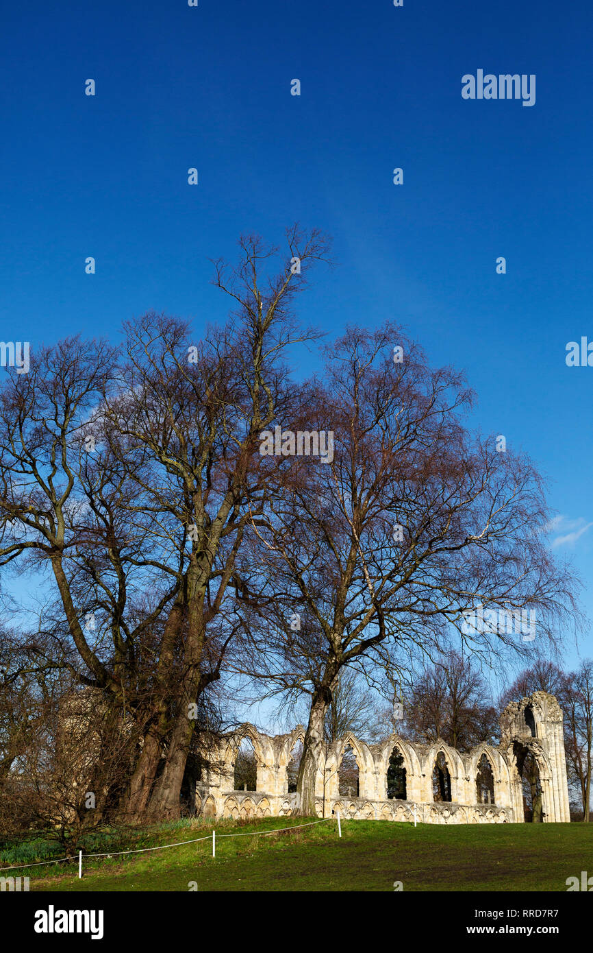 Las ruinas de la Abadía de Santa María en York, Inglaterra. La abadía benedictina fue conocida como una de las más ricas en el norte de Inglaterra y se disolvió en 1539. Foto de stock