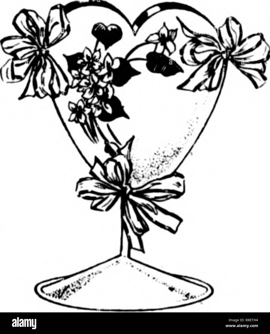 Floristerias Review Microforma La Floricultura Surtido
