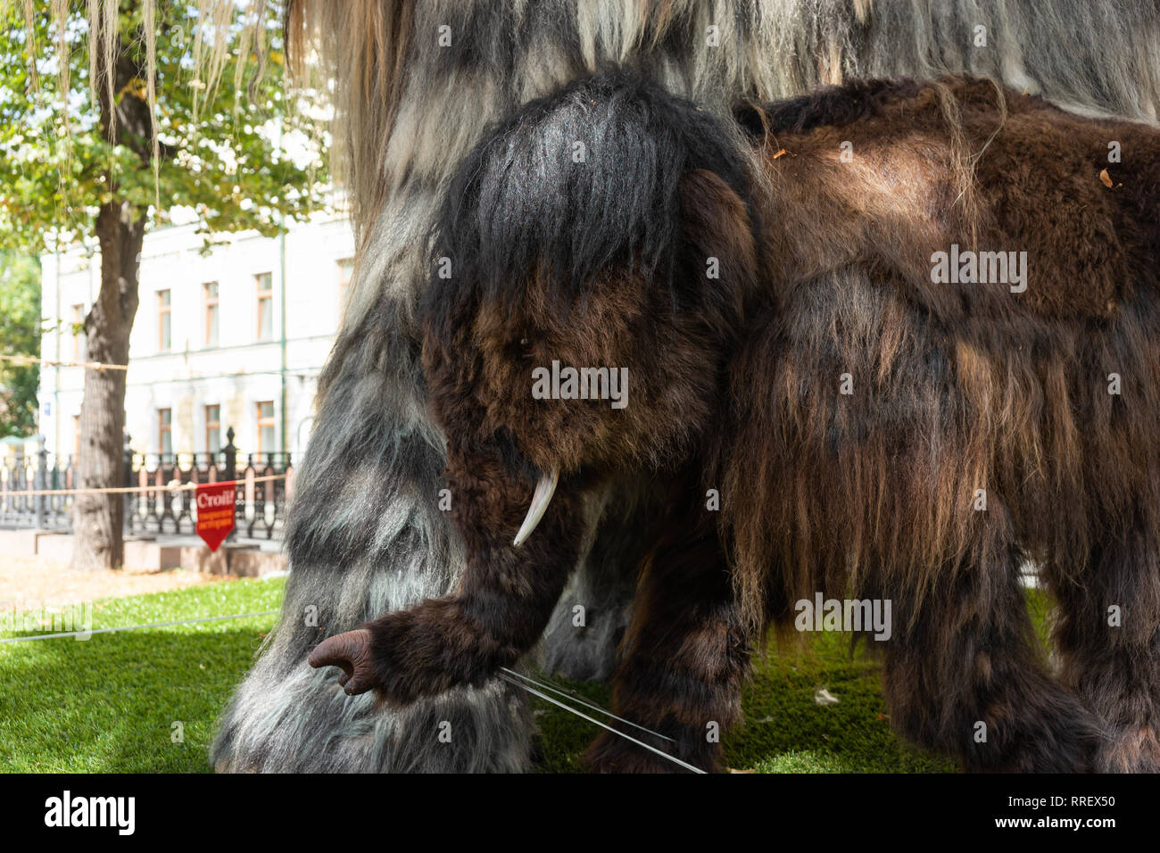 Moscú, 13 de agosto de 2018: Life-size boceto de un mamut prehistórico animal en la pantalla en Moscú Garden Ring Boulevard durante tiempo y épocas festival Foto de stock