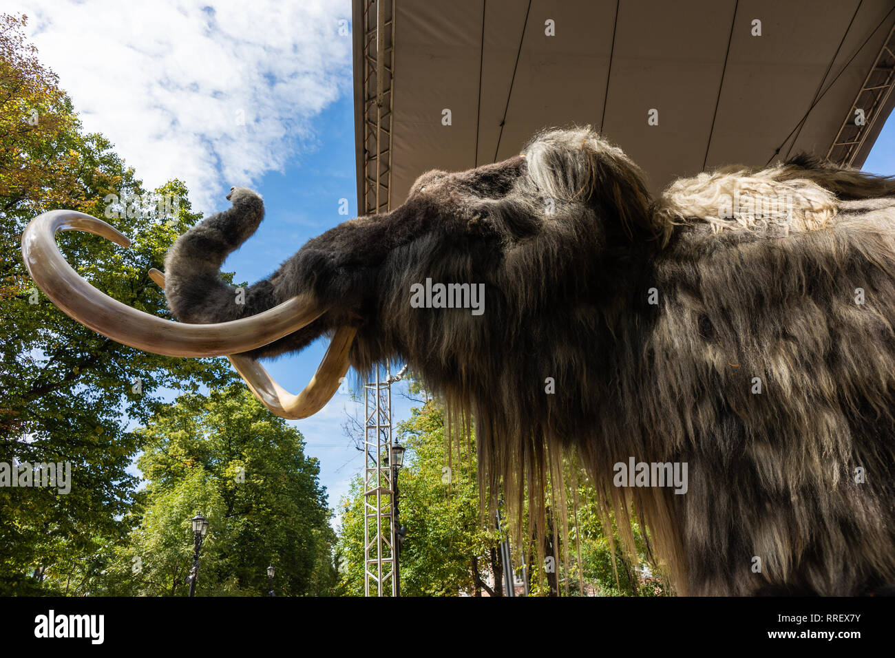 Moscú, 13 de agosto de 2018: Life-size boceto de un mamut prehistórico animal en la pantalla en Moscú Garden Ring Boulevard durante tiempo y épocas festival Foto de stock
