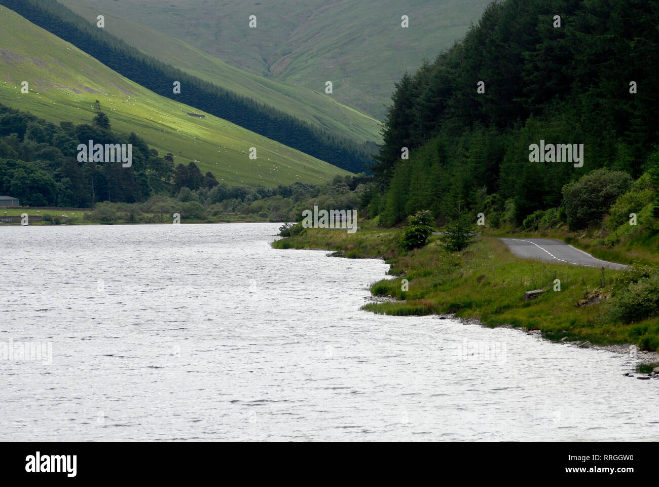 Turismo: Loch of the Lowes, Scottish Borders, Escocia, Reino Unido Foto de stock