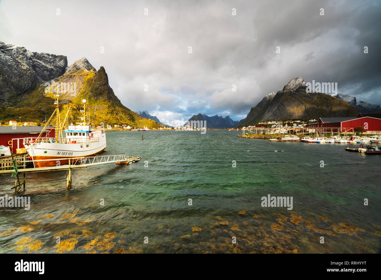 Los barcos de pesca en el puerto, Reine, Nordland, Islas Lofoten, Noruega, Europa Foto de stock