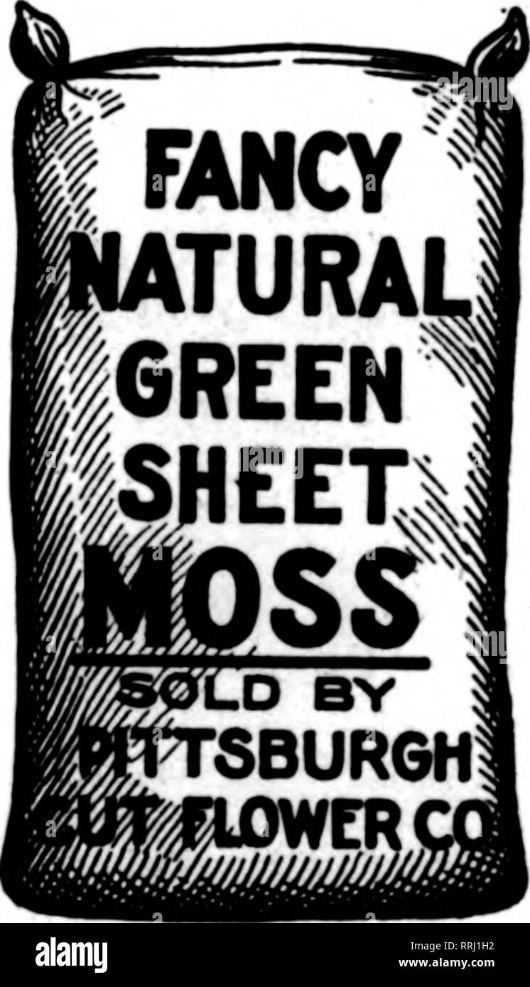 116 Libras Fotos E Imagenes De Stock Pagina 2 Alamy 116 Libras Fotos E Imagenes De Stock Pagina 2 Alamy