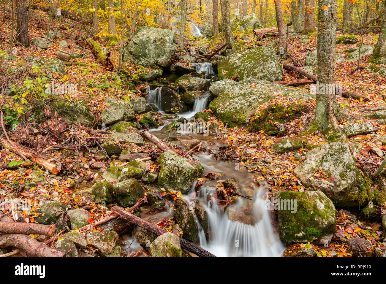 Corriente de montaña en otoño cascada en el Parque Nacional Shenandoah Foto de stock
