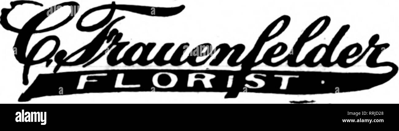 Floristerias Review Microforma La Floricultura Chicago La Casa Pillmer Aorist 17 East Monroe Sl Rock Island Pakistan had their moments but couldn't. alamy