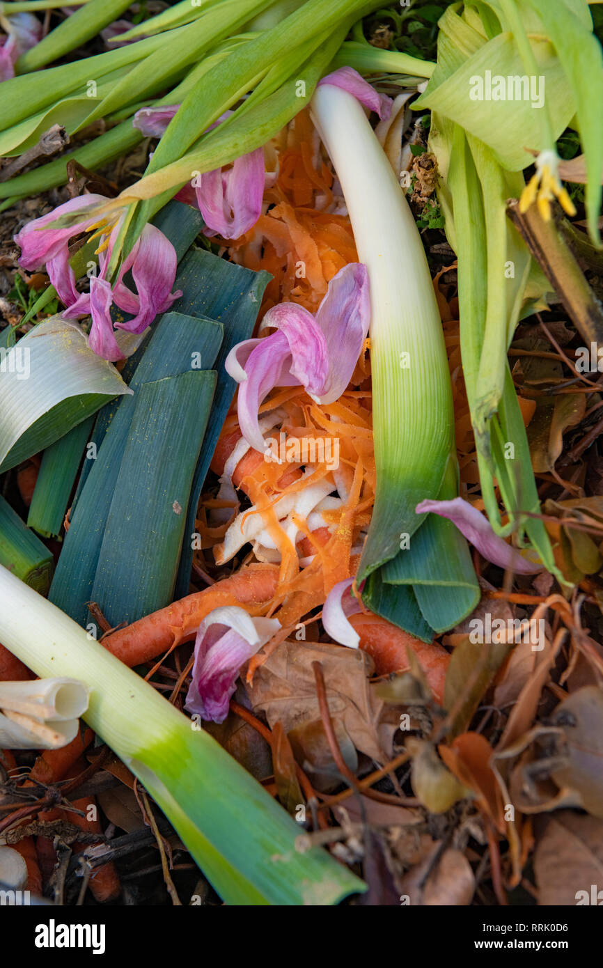 Un montón de desechos orgánicos de hortalizas, flores y desechos del jardín. Foto de stock