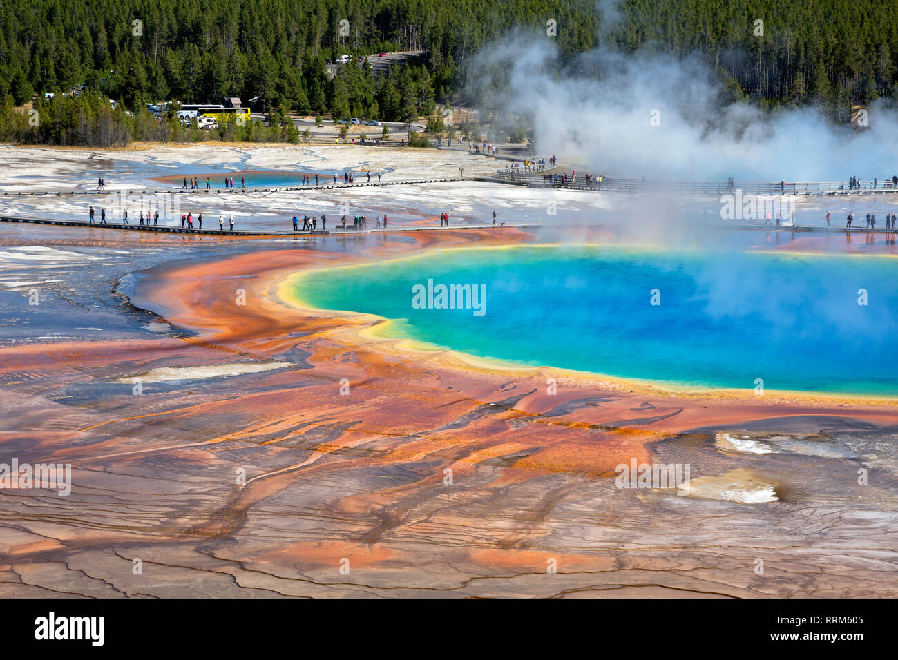 WY03856-00...Wyoming - El colorido Grand Prismatic Spring, en el Midway Geyser Basin del Parque Nacional de Yellowstone. Foto de stock