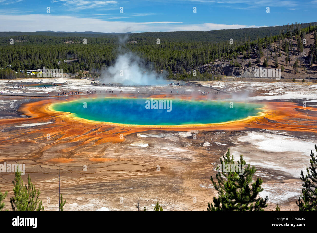 WY03858-00...Wyoming - El colorido Grand Prismatic Spring, en el Midway Geyser Basin del Parque Nacional de Yellowstone. Foto de stock