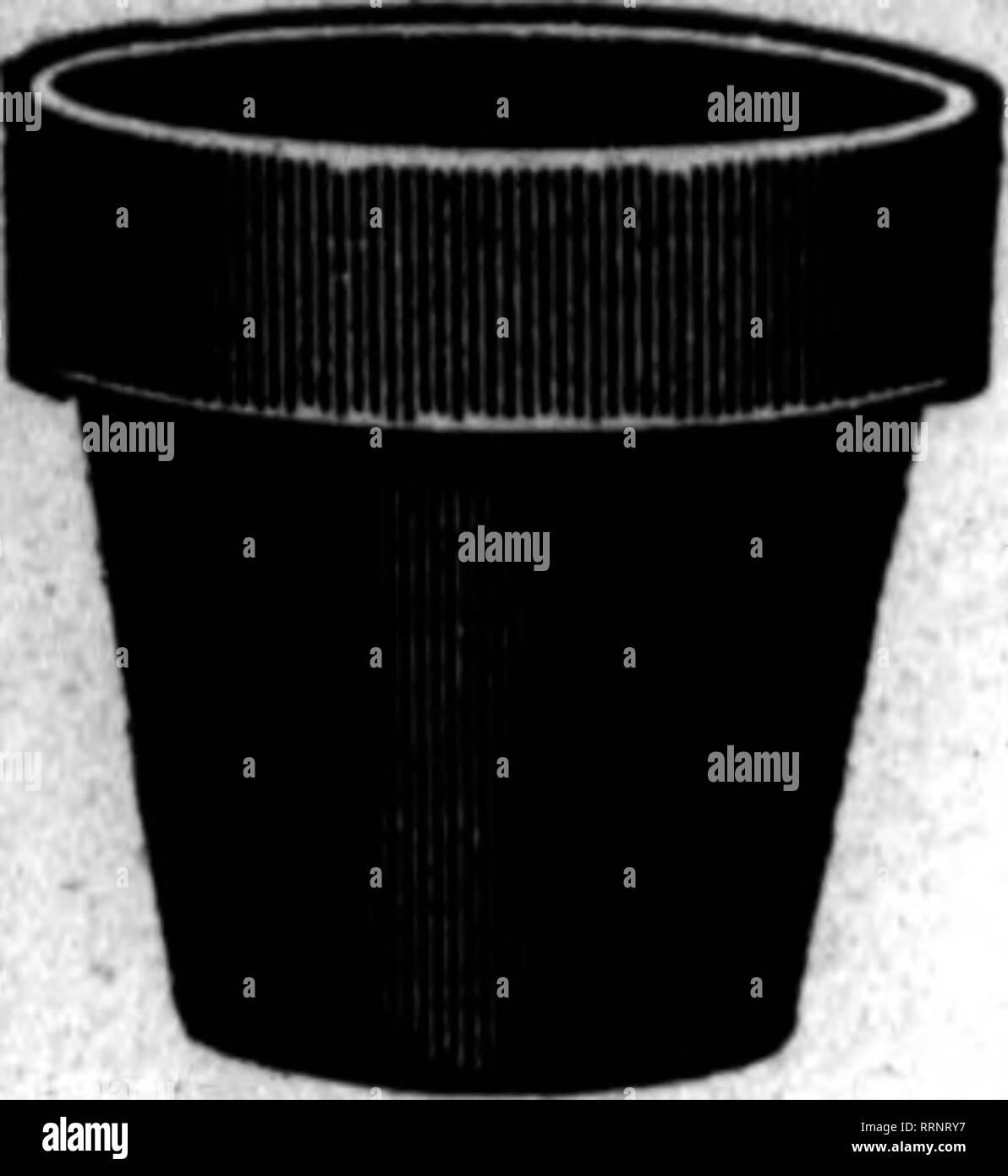Ness poroso Imágenes de stock en blanco y negro - Alamy
