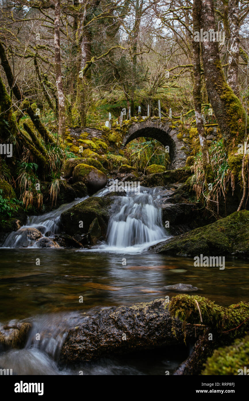 Antiguo puente de piedra puente de hadas en Woodland, Escocia Fotografía de  stock - Alamy