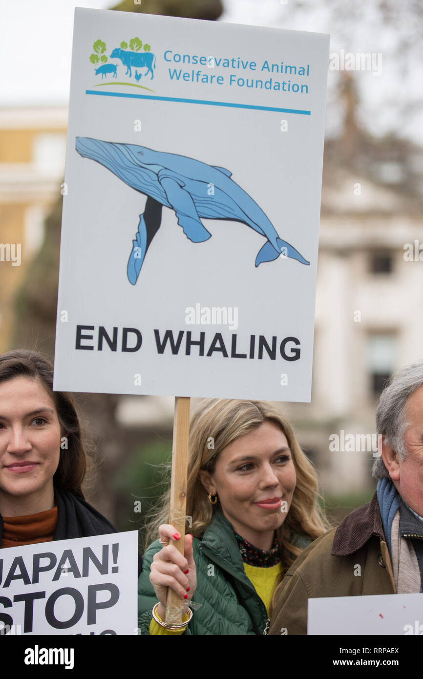 La caza de ballenas no marcha a la Embajada japonesa, protesta contra Japans la decisión de retirarse de la Comisión Ballenera Internacional (CBI) y reanudar la caza comercial de ballenas. Featuring: Carrie Symonds donde: Londres, Reino Unido cuando: 26 de enero de 2019. Crédito: Wheatley/WENN Foto de stock