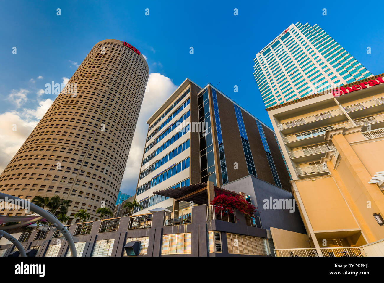 Downtown tampa fotografías e imágenes de alta resolución - Alamy