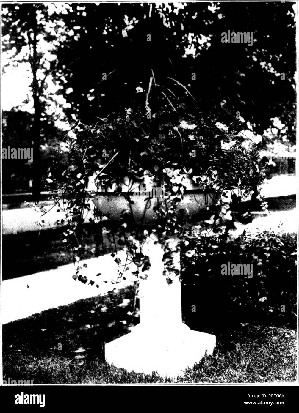 weekend bolsa ralph lauren