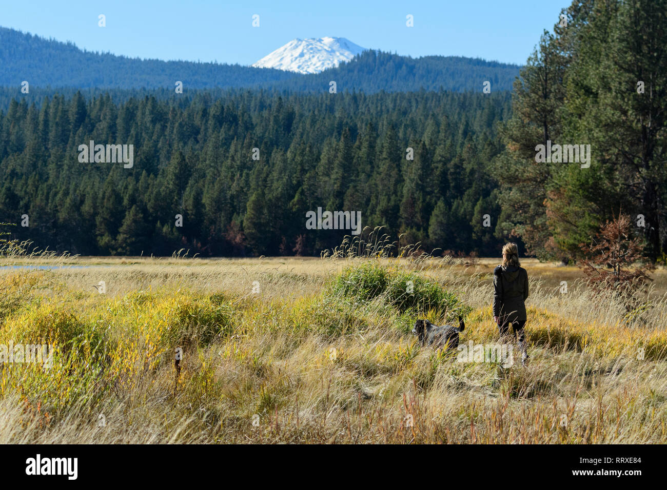 América del Norte, EE.UU., Central de Oregon, Oregon, Condado de Deschutes, mujer de hacer senderismo en el river trail con Mount Bachelor Foto de stock