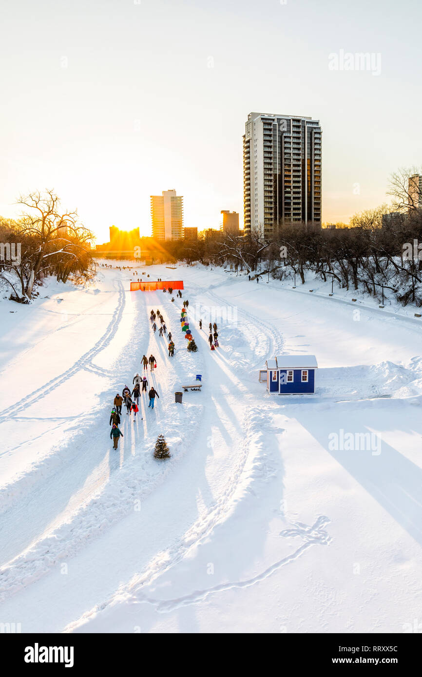 Patinar sobre hielo en el Assiniboine River Trail al atardecer, parte de la Red River Trail mutua, las horquillas, Winnipeg, Manitoba, Canadá. Foto de stock