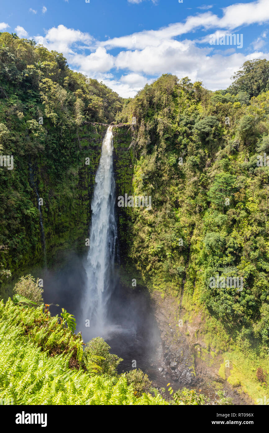 Akaka Falls cerca de hilo en la Isla Grande de Hawai. Foto de stock