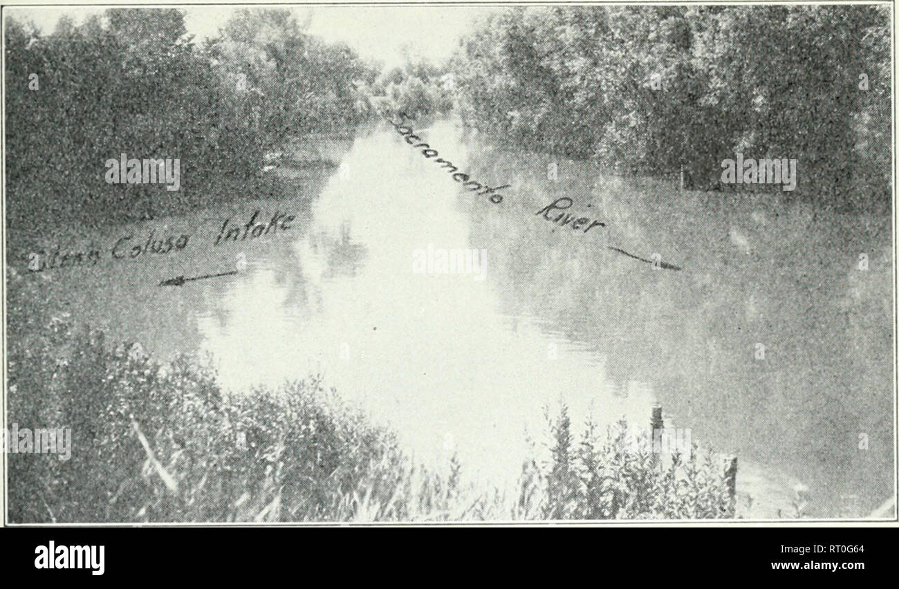 . Caza y Pesca de California. Pesca -- California; la caza y las aves -- California; Peces -- California; grupos de población animal; Pêches; Gibier; Poissons. Caza y Pesca de California 45 OPERACIONES DE COMPENSACIÓN EN UN CANAL DE RIEGO POR J. B. Phillips Introducción La División de Pesca y Caza de California realizaron una serie de pruebas (cerco a ese río Sacramento belov^^ las bombas de los Glenn Colusa Irrigation District/ durante la primavera y el verano de 1929. Estas pruebas fueron cerco para el propósito de determinar si los alimentos y peces iban a través de las bombas en el riego de canal. Foto de stock