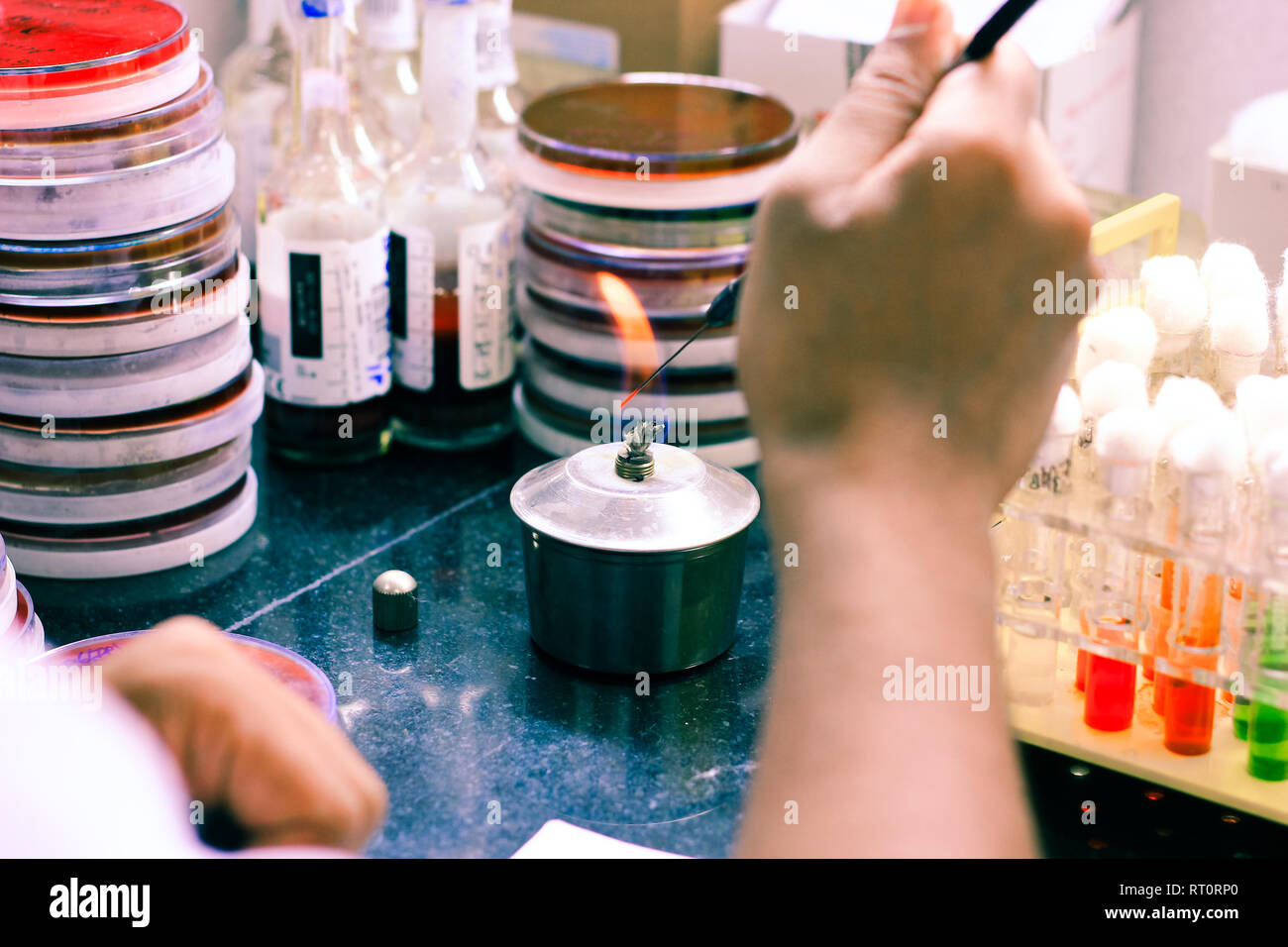 Bucle de inoculación microbiológica se calienta en un espíritu llama  lámpara para esterilización desinfección en un laboratorio de microbiología  Fotografía de stock - Alamy