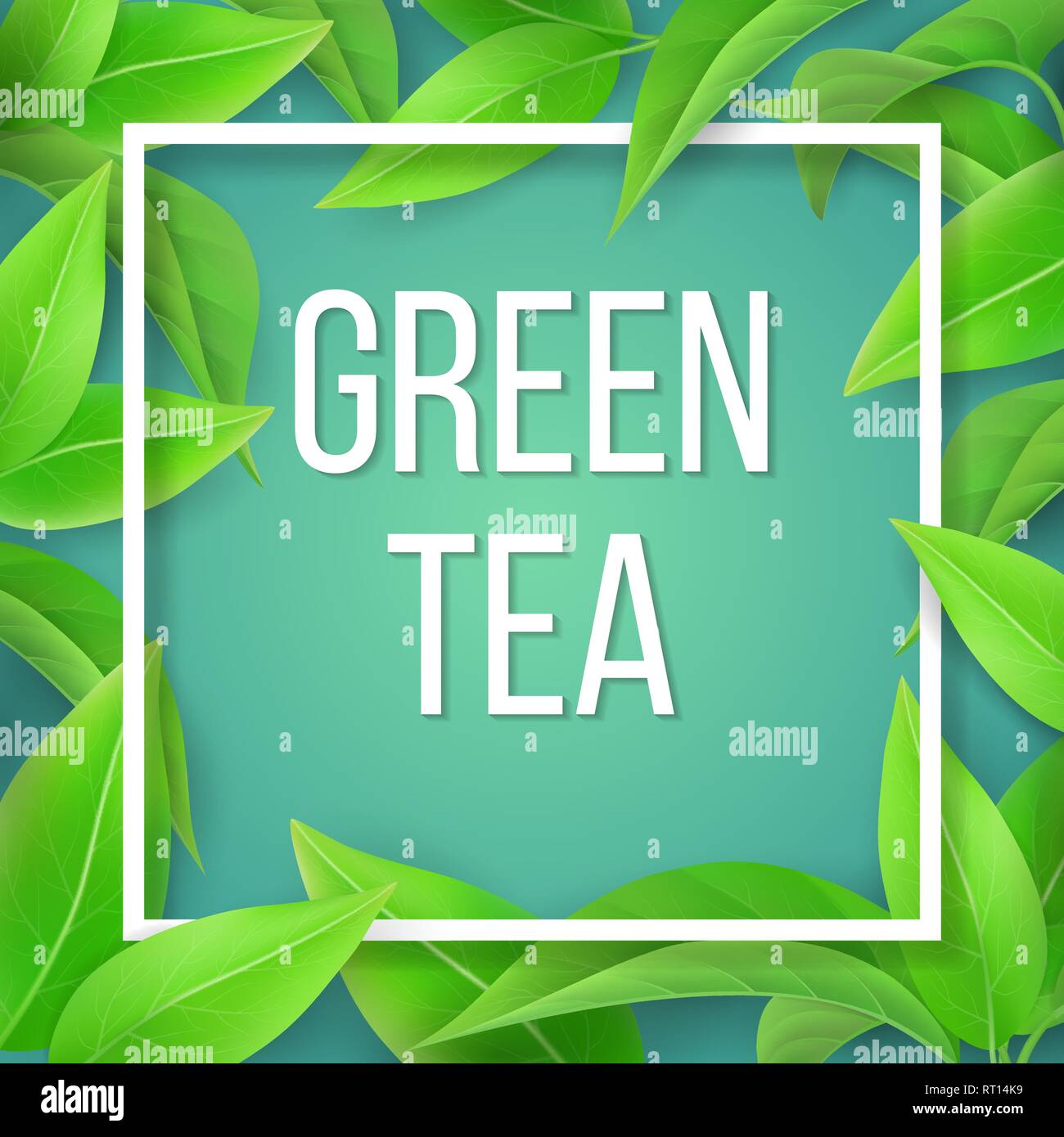 Las hojas de té verde de fondo natural. Ilustración del Vector