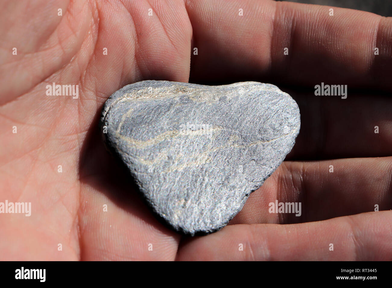 Piedra pizarra brillante en la mano Fotografía de stock - Alamy